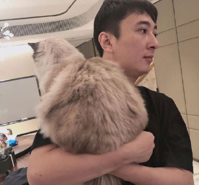 5000元左右的布偶猫怎么样,5000元买布偶猫