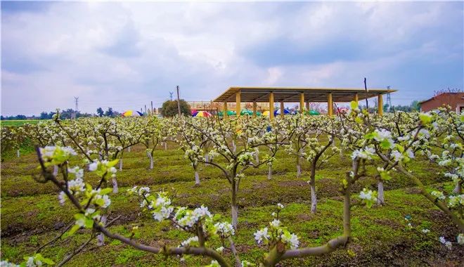 新都民国风情小镇,成都25个特点小镇