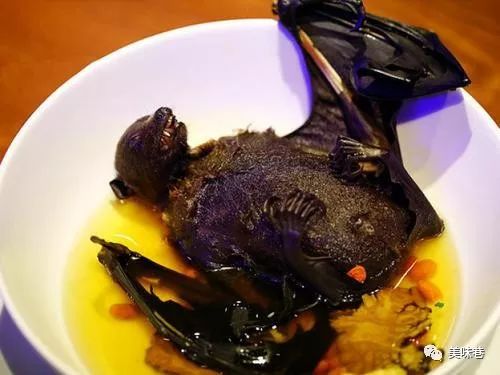 除了蝙蝠，这10大野味也不可食用，为了自己的健康，请管住嘴