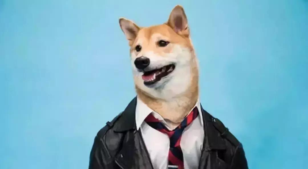 人们总说的公关到底是啥,什么叫公关公关是什么