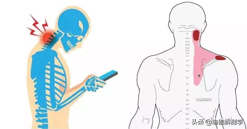 瑜伽肩颈理疗私教,肩颈酸疼修复瑜伽私教手法