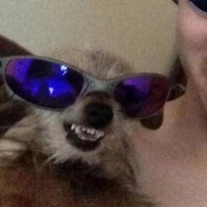 万能查看文件神器,快速查看各类文件工具