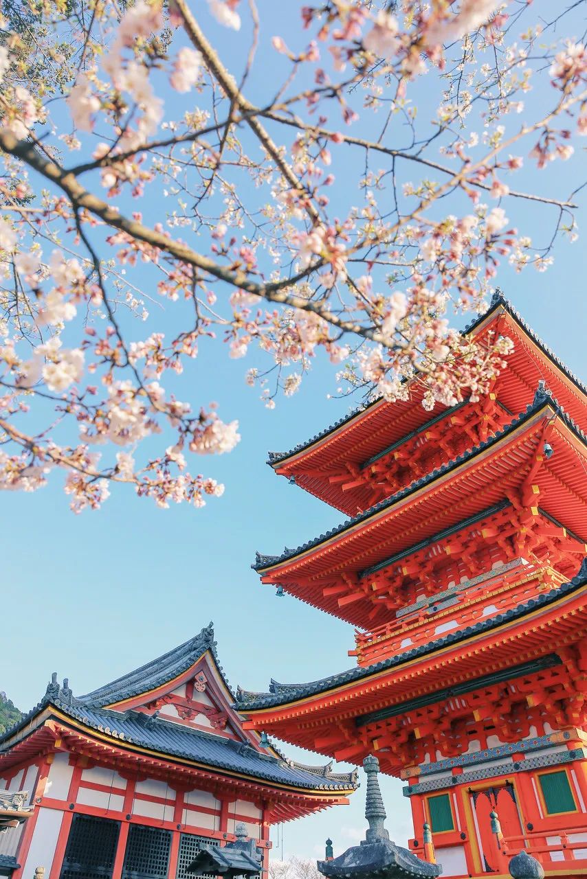 宅家封印解除,漫长的宅家封印解除