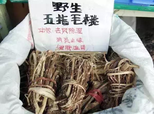 广东人用来煲汤的一种植物,广东煲汤料有哪些植物