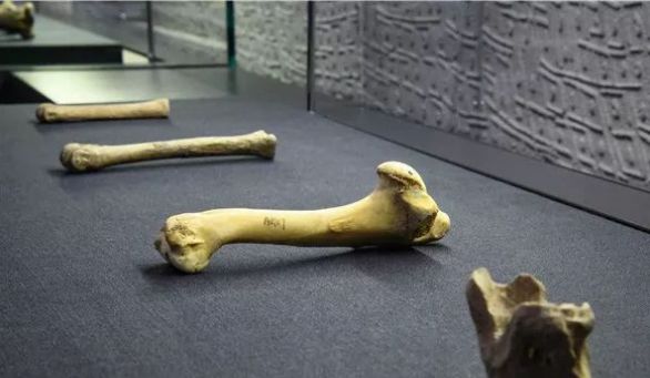 今天的洛阳,今天的洛阳洛邑古城