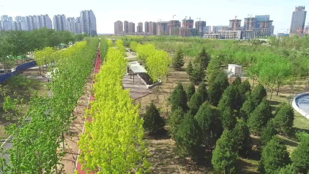 唐山人民公园五一开放吗,唐山人民公园免费吗