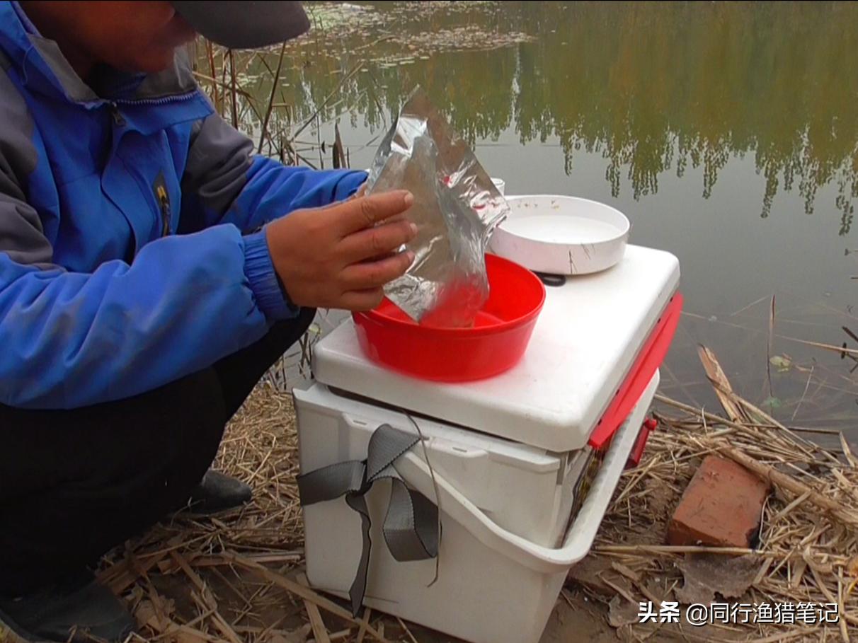 拉饵怎么拉出饱满饵球,拉饵怎么开出最好的状态