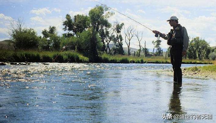 野钓鲫鱼最好的商品饵料,野钓鲫鱼饵料推荐公认前十