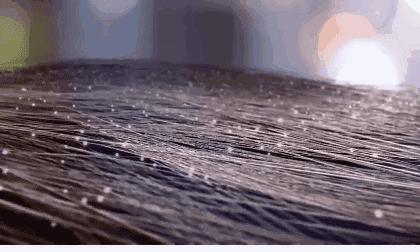 轻奢小众高级感洗发水,好用又平价的小众洗发水