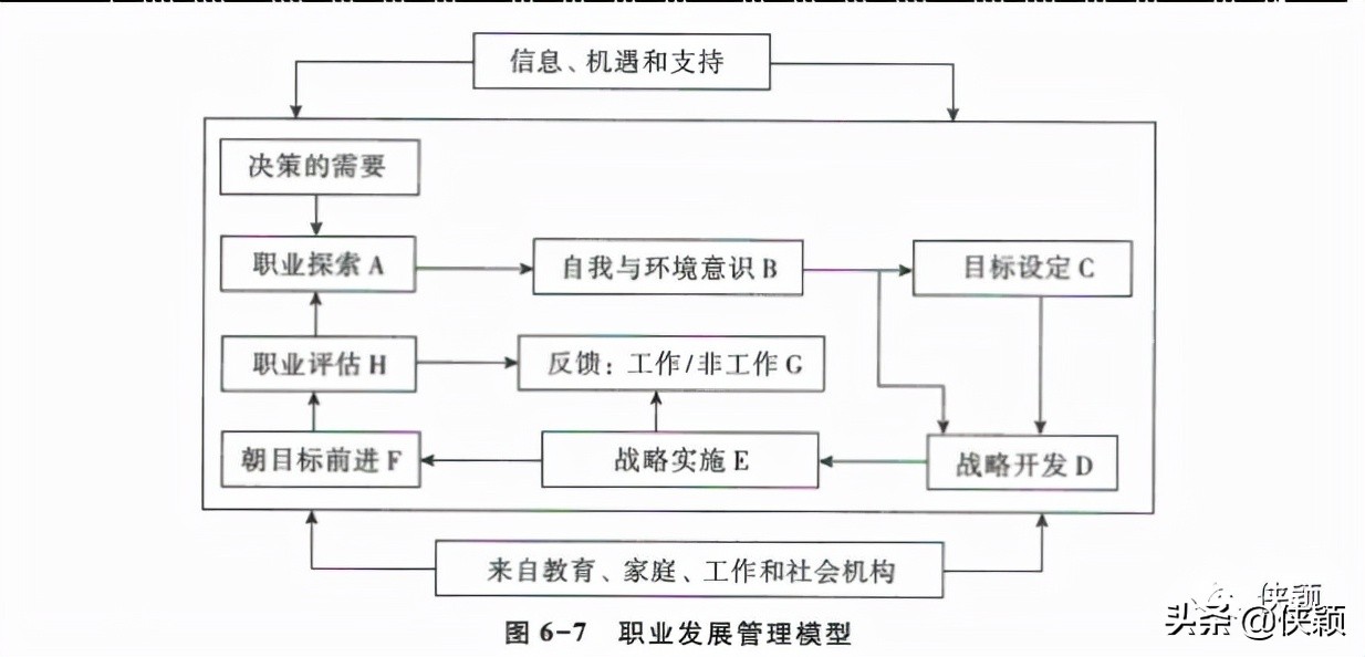 职业认知与职业发展规划,未来的职业发展方向及职业目标