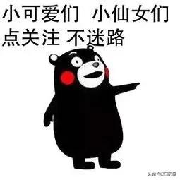 nba球衣号码0到99一览表,nba超级巨星球衣号码