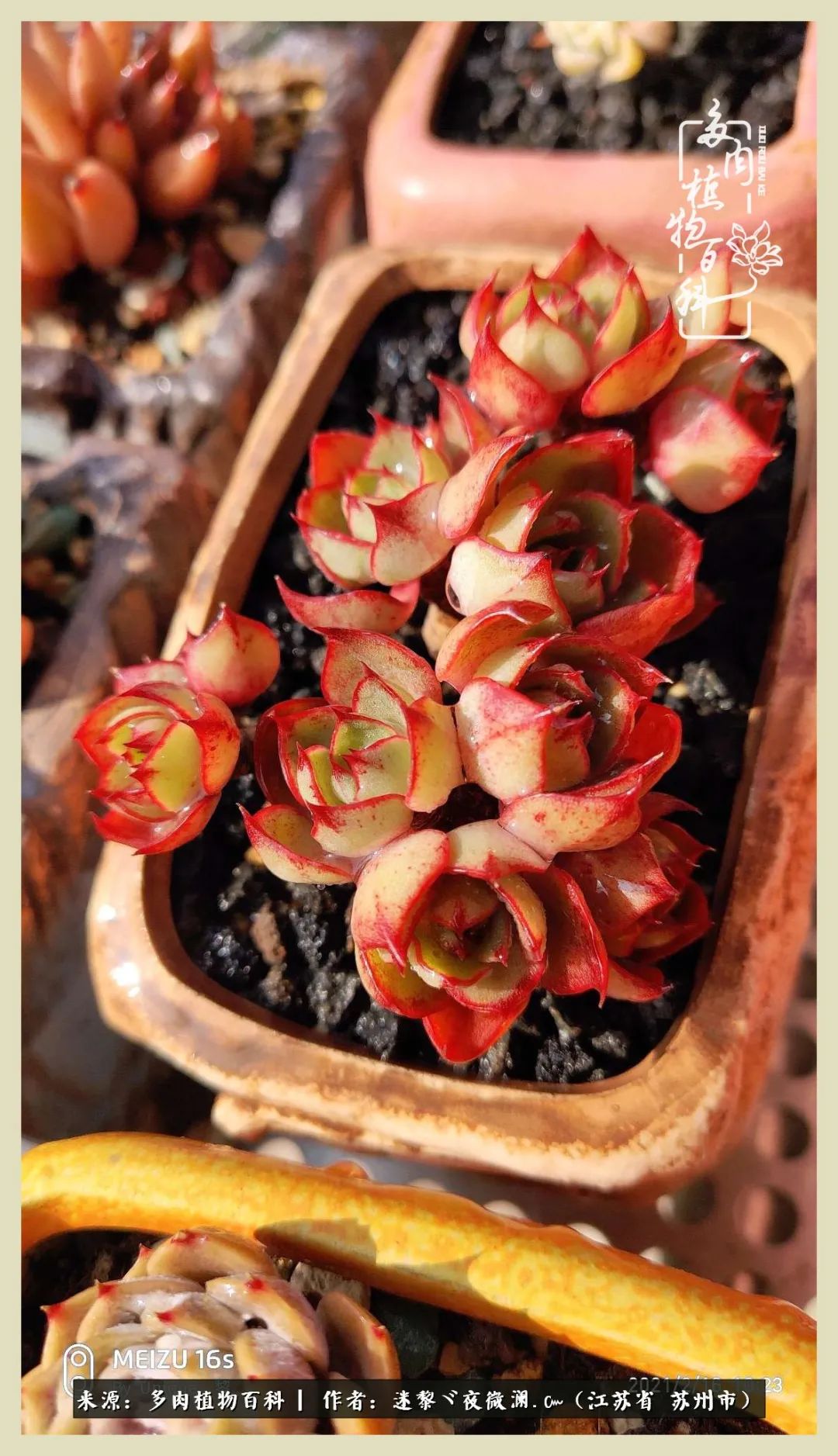 秋尽冬来岁月不居时节如流,岁月不居时节如流水