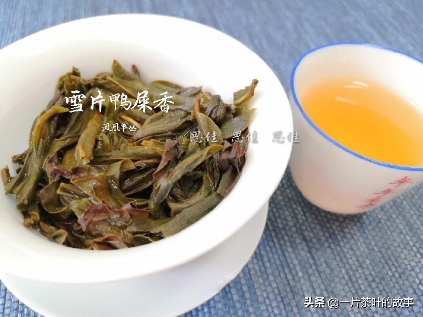 乌龙茶炒茶叶的正确方法和步骤,乌龙茶最合理的制作方法是什么