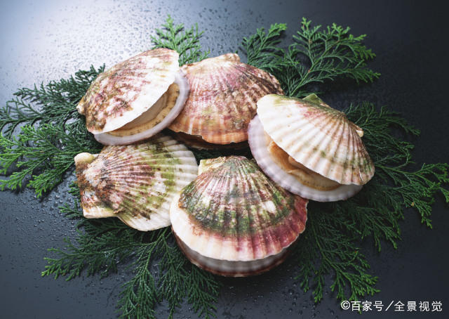 扒一扒那些在美食界乘风破浪的贝壳们