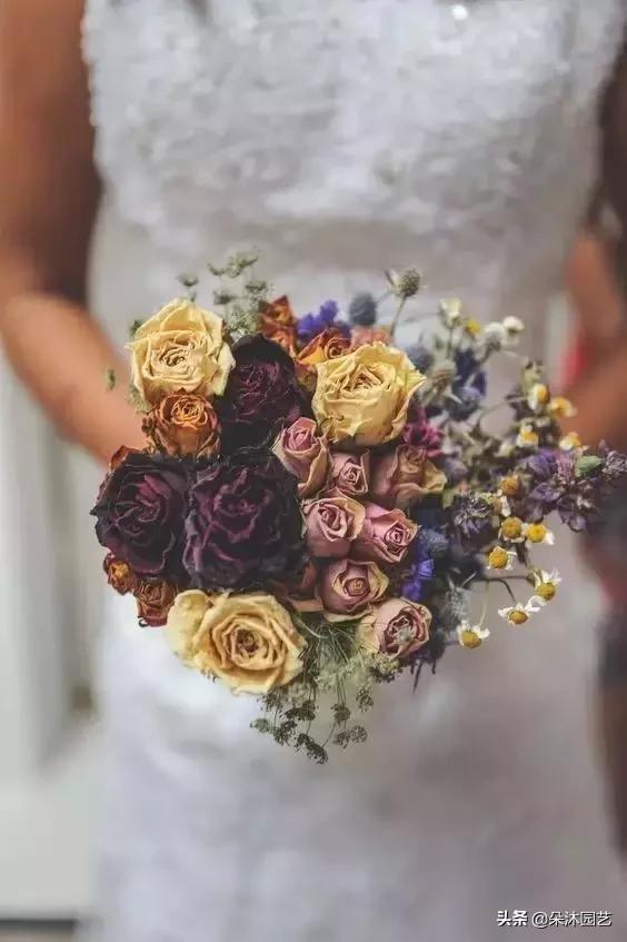 干花如何定格在墙上,干花制作5朵花教程