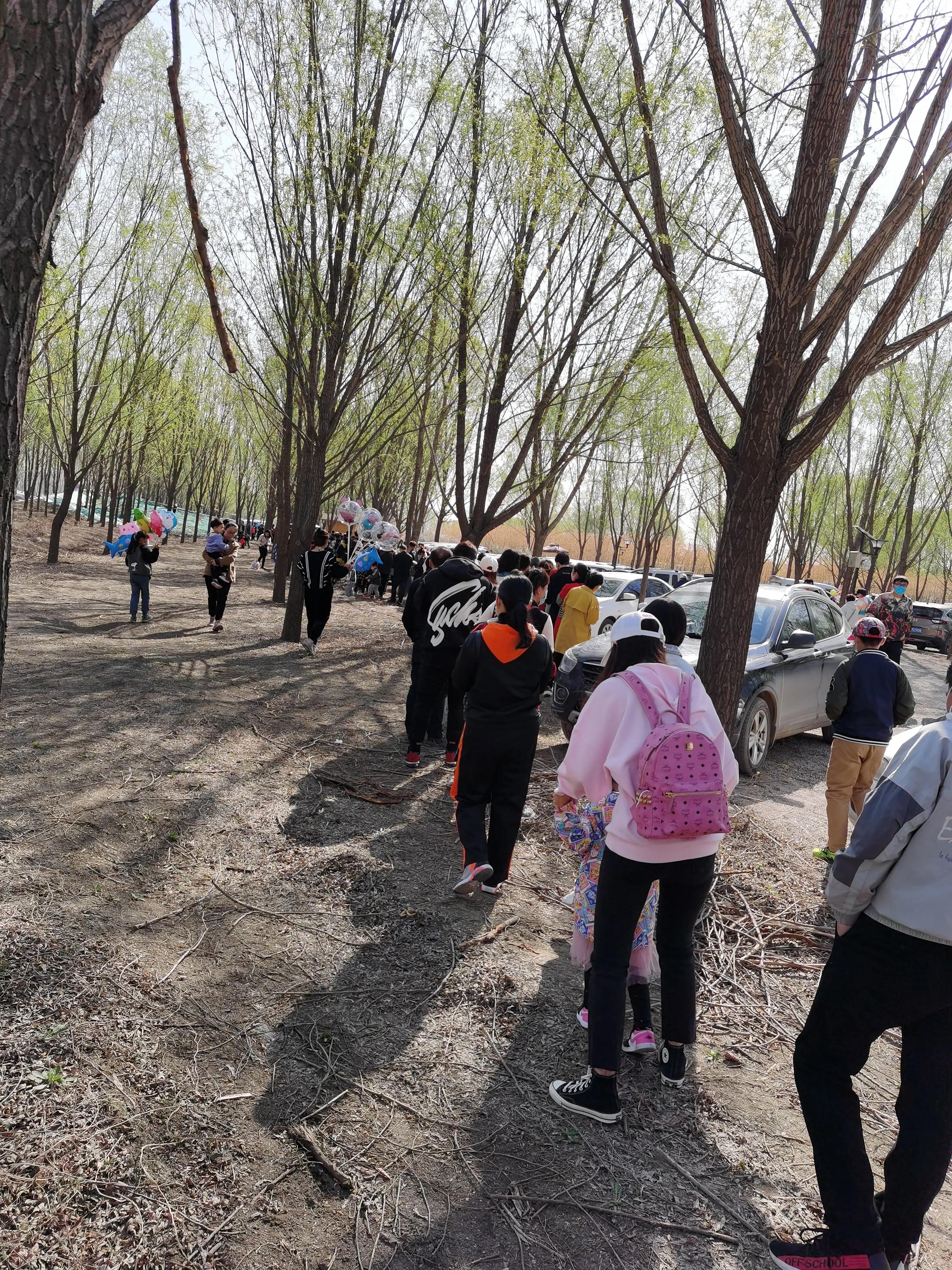 丰南半亩方塘景区,唐山丰南半亩方塘怎么样