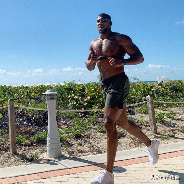 重量级拳王约书亚拳击全部视频,重量级拳王约书亚ko全集