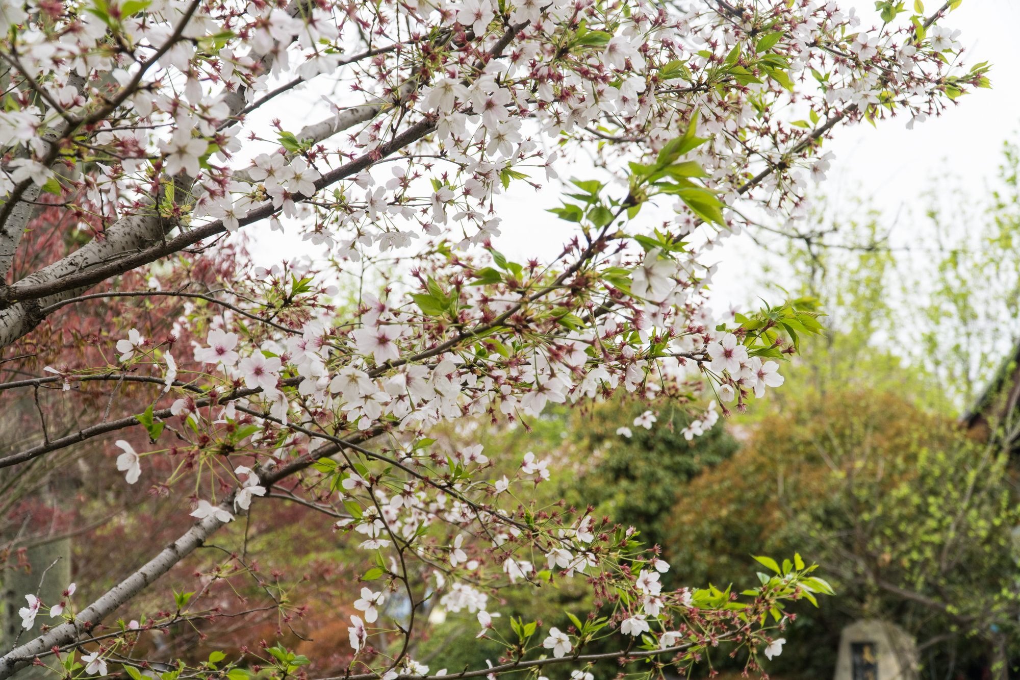 徐州周末郊游的好地方,徐州自然风光好去处