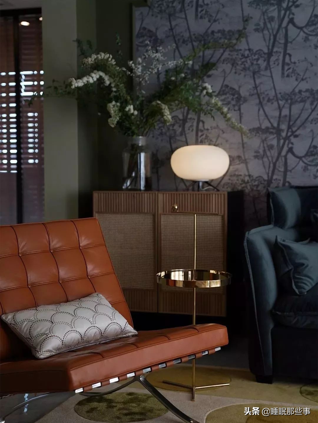 看了一眼她家的绿墙，我觉得我家还可以再抢救一下