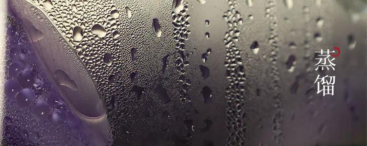 清新而优雅的香味,书香清雅入骨许你气质绝尘