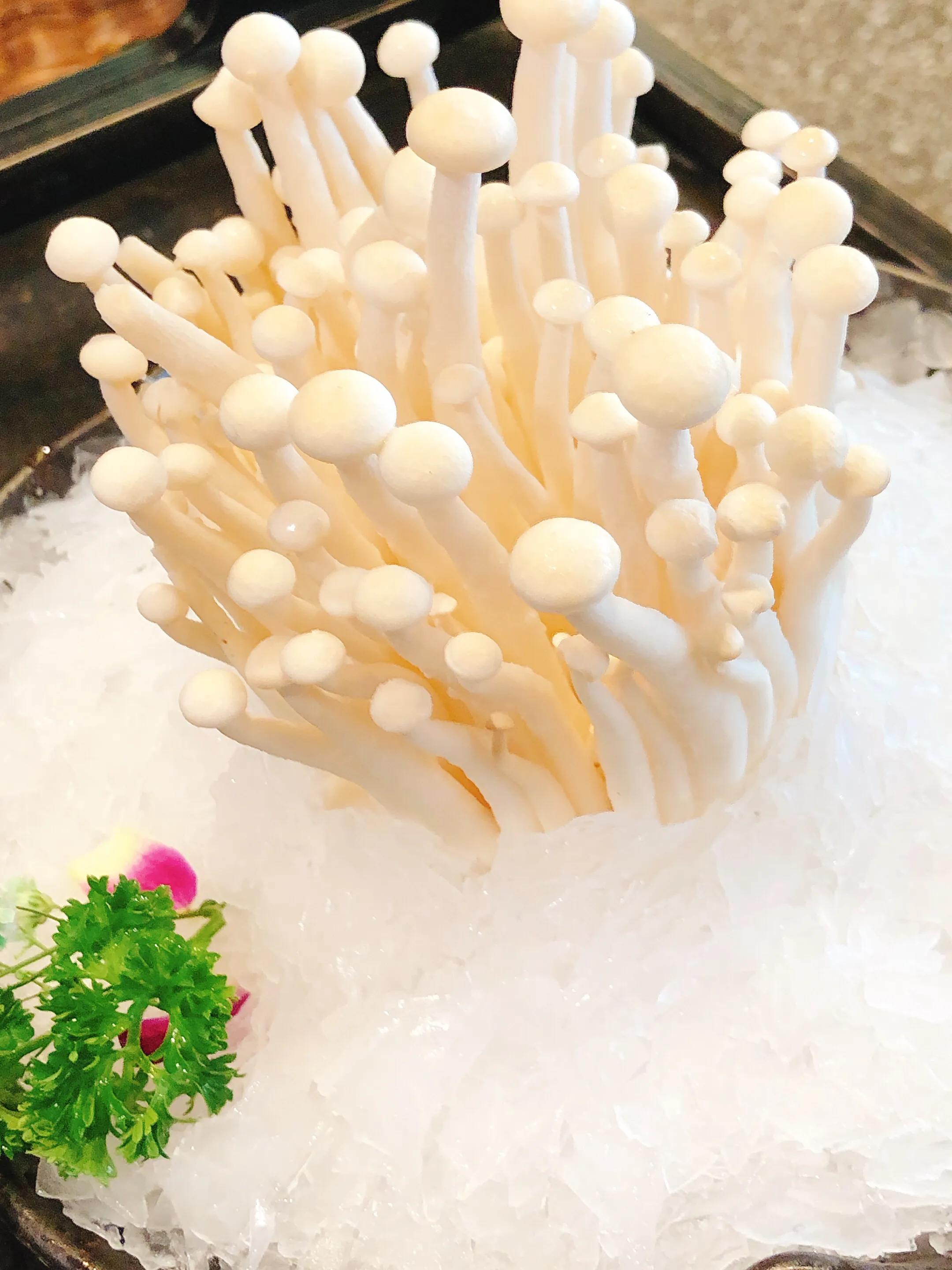 大连探店｜郑恺掌柜的火凤翔鲜货火锅商行