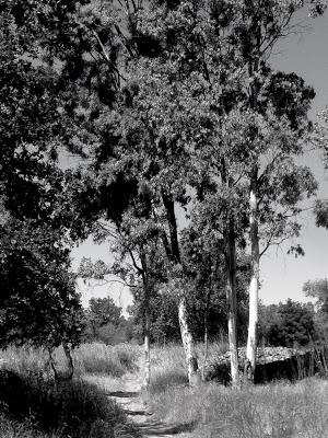 彩绘画教程入门风景画,绘画入门零基础风景画