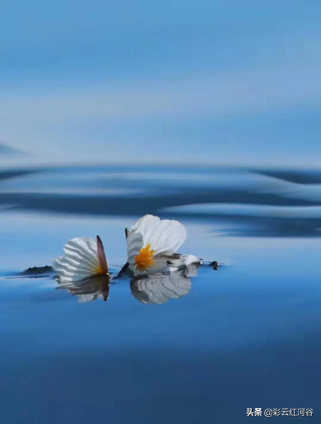 中国云南哪里好看,云南的云彩为什么好看