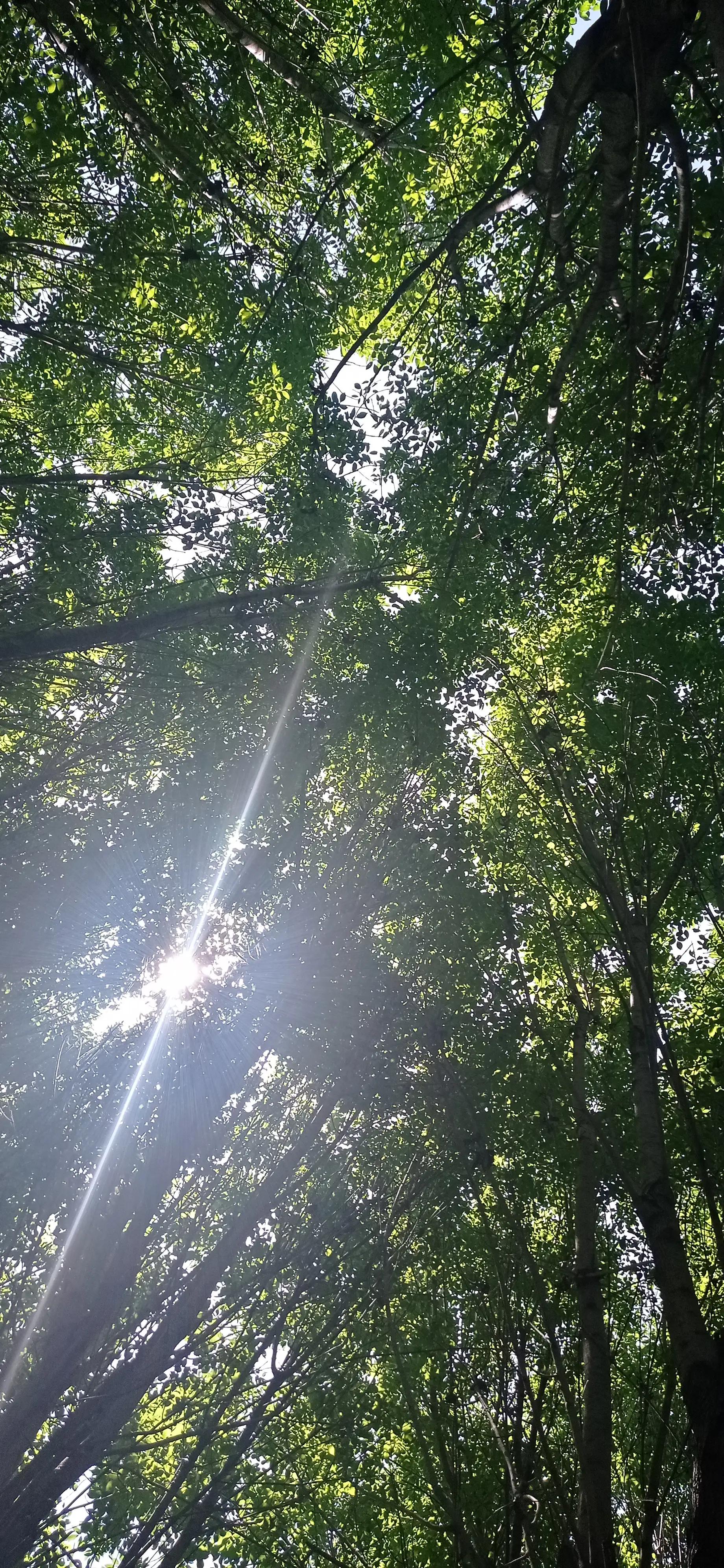 尿憋醒了排尿困难,排尿困难及尿潴留