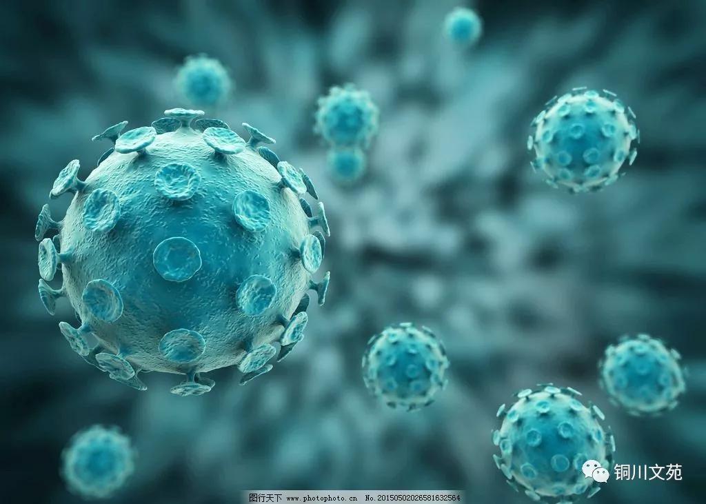 閾滃窛甯傚嵃鍙板尯寤夋斂璀︾ず鏁欒偛,閾滃窛璀﹂挓