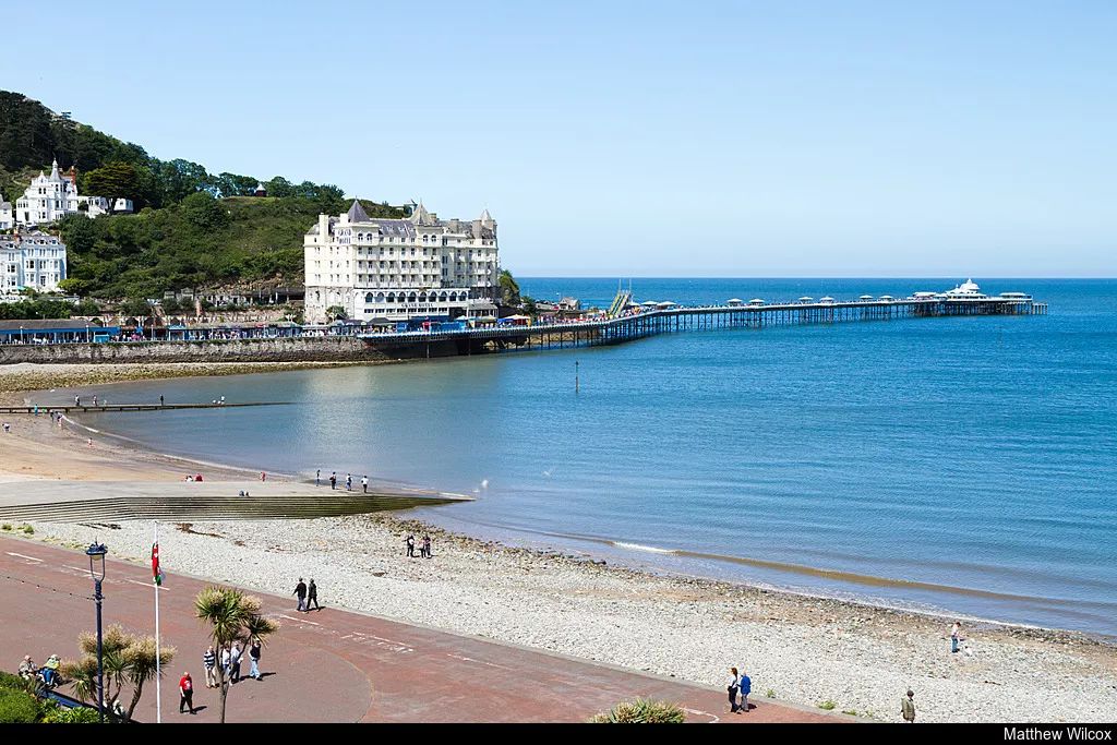 又a又飒的品牌,又a又飒的歌曲英文