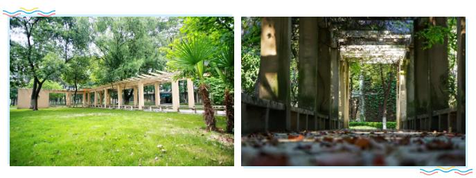 武汉外语外事职业学院毕业,外语外贸职业学院大一学妹