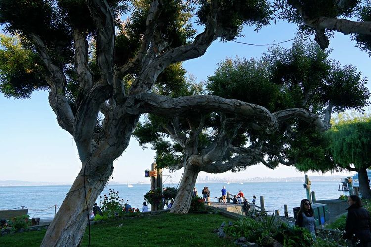 美国德州西部自由行,美国西海岸可以自由航行么