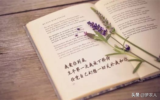 你怎么放进去，我就怎么拿出来