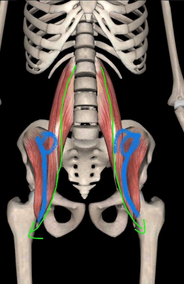不懂健身动作练到的肌肉,锻炼髂腰肌最有效方法图解