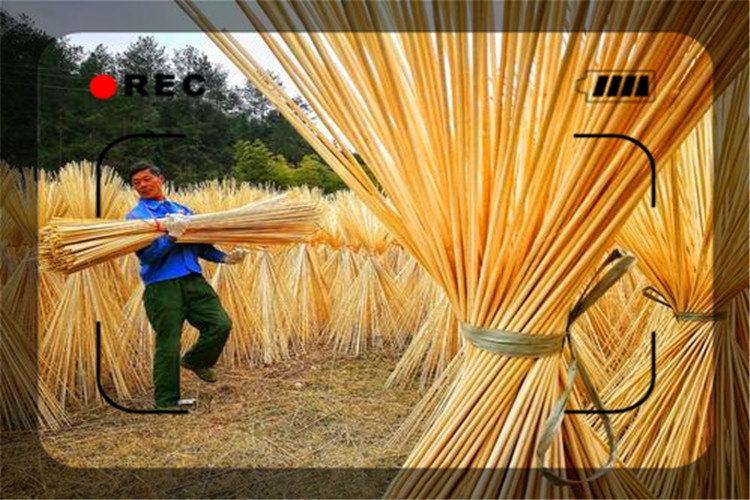 适合在农村开的小型加工厂有哪些,农村开什么小型加工厂有前景