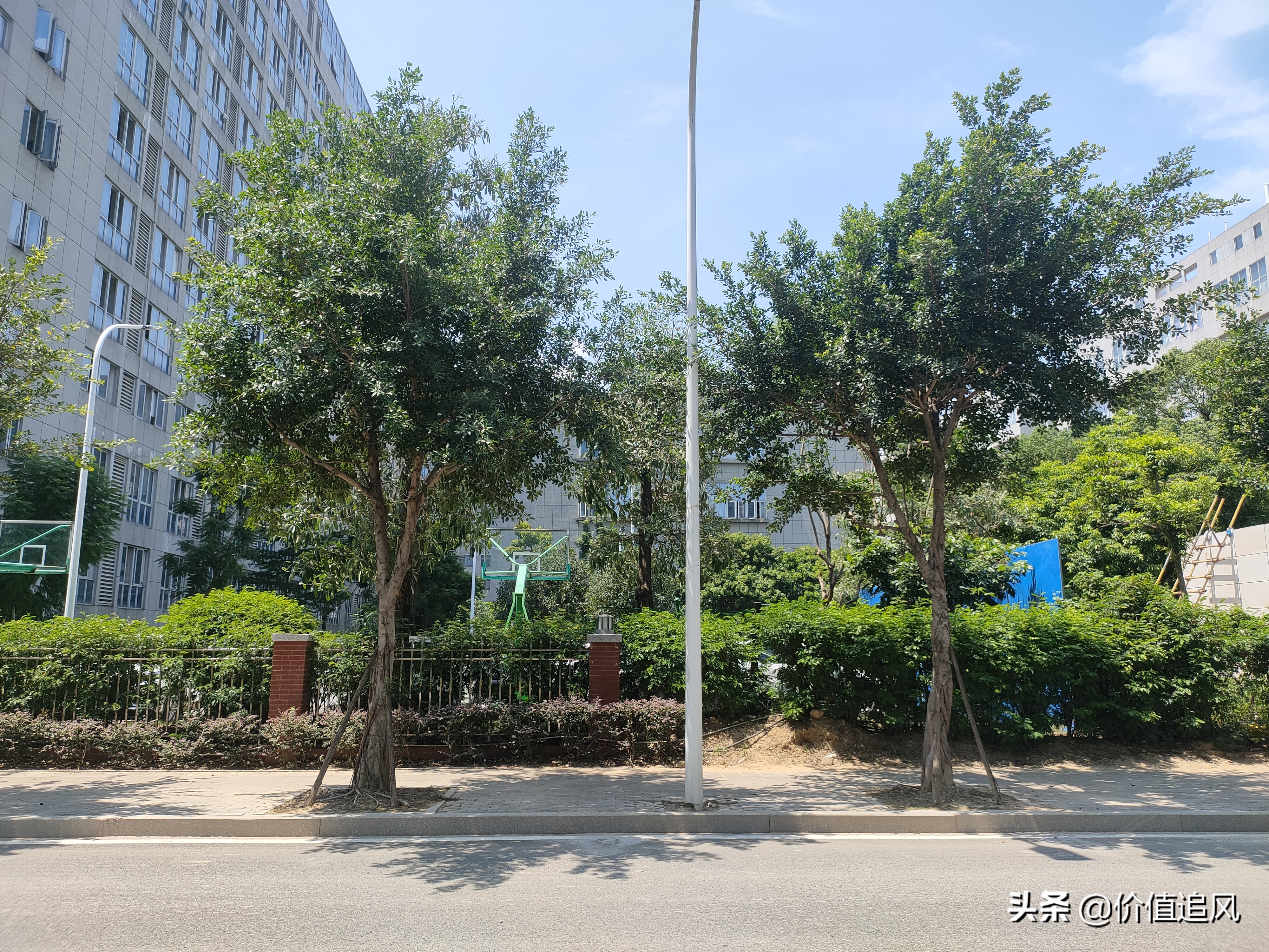 星网锐捷网络上市,星网锐捷未来5年估值