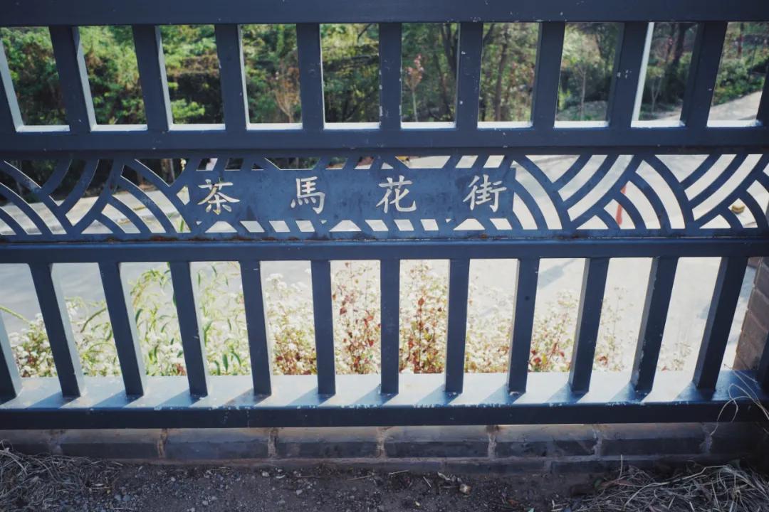 出发四季如春之地昆明,云南昆明攻略冬天