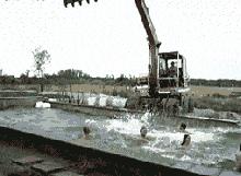 打麻将搞笑gif图片大全,打麻将三缺一的搞笑图片