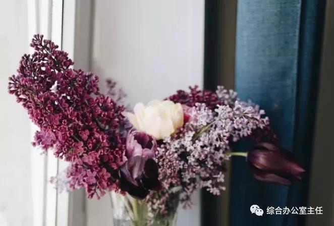 综合办公室岗位应聘,综合办公室助理岗位介绍