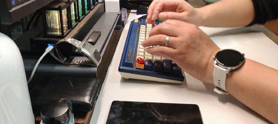 性能怪兽红魔,性能小怪兽索尼