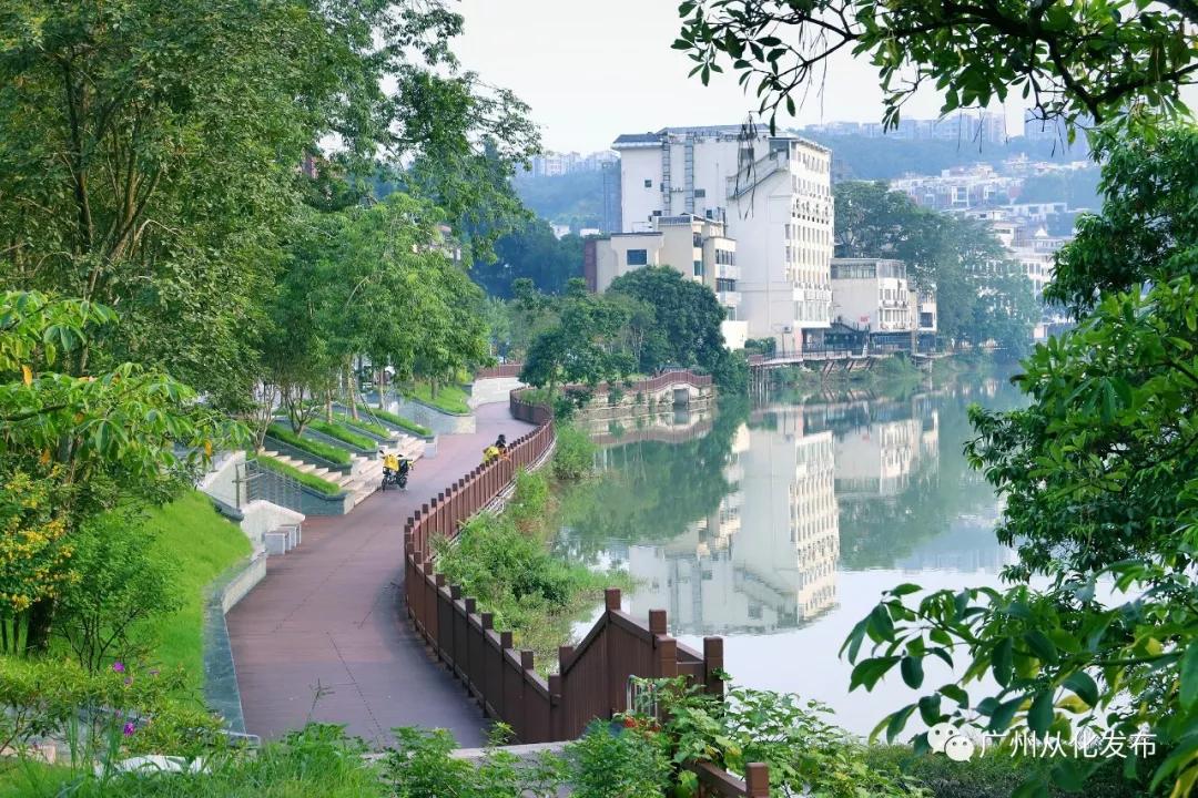 请转告全国白衣战士，从化有一份特别的礼物送给你们！