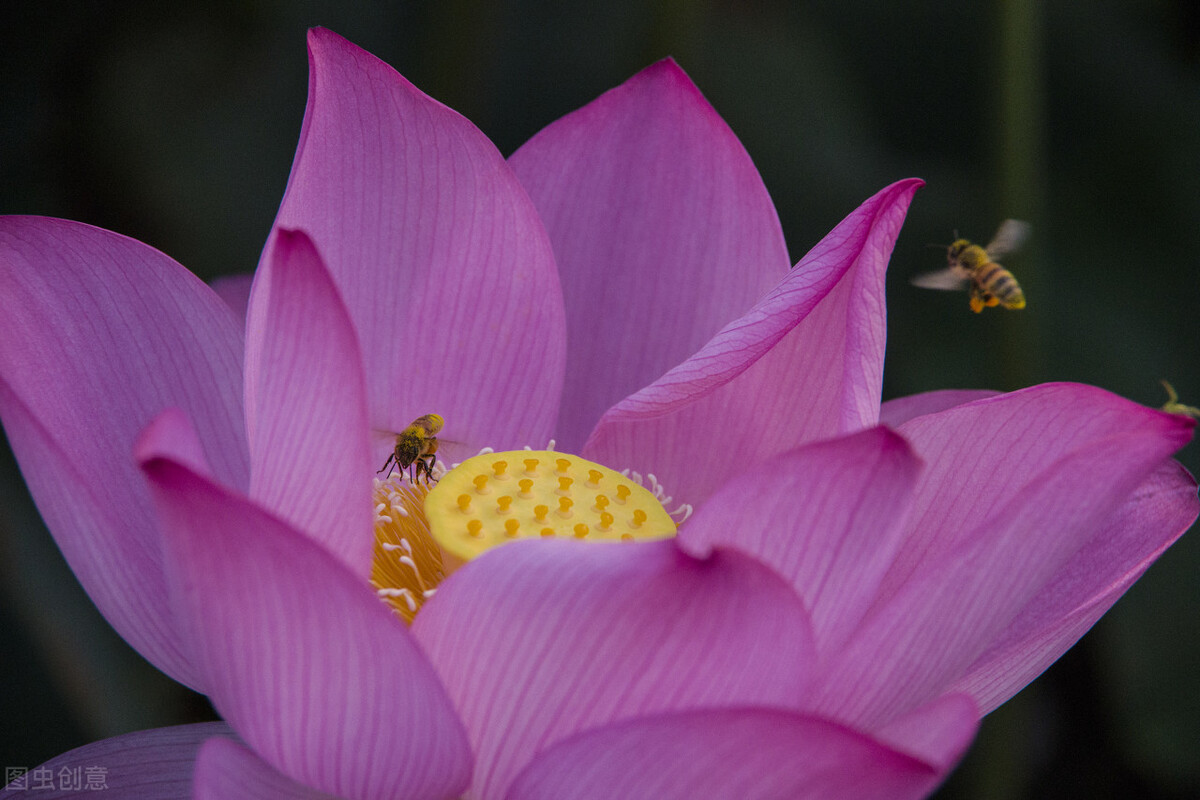 期货趋势交易只练一招,期货交易之道贵在思考