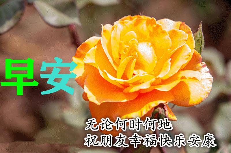 十一月初一早上好祝福,11.11光棍节祝福