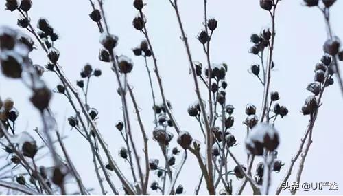 免费高清图片网站有哪些,免费无版权图片素材网站有哪些