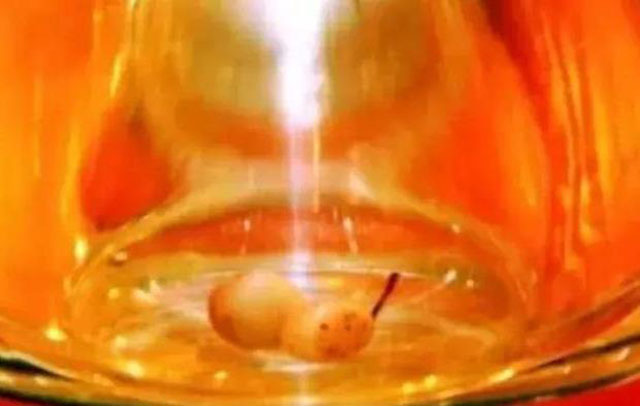 舍利子形成的五大原理推测,舍利子之谜解说