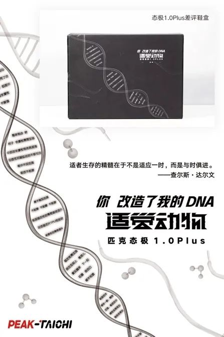 国产鞋都是怎么制造,国产鞋怎么能这么便宜