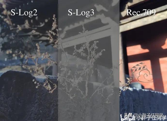 尼康d850拍摄视频用什么镜头,尼康d850配556镜头感受