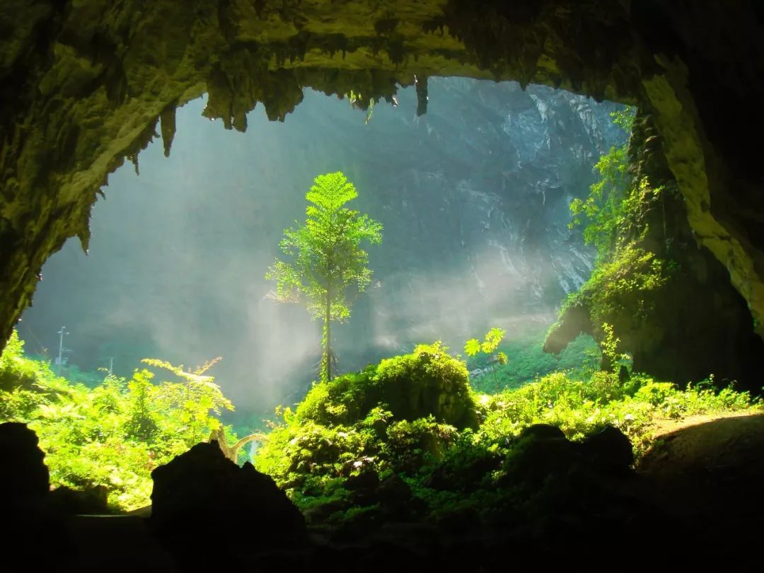 巴马长寿老人趣闻,巴马长寿老人最多的地方