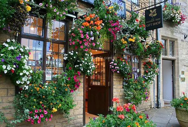 开花店赚钱攻略,零基础一站式教你开花店