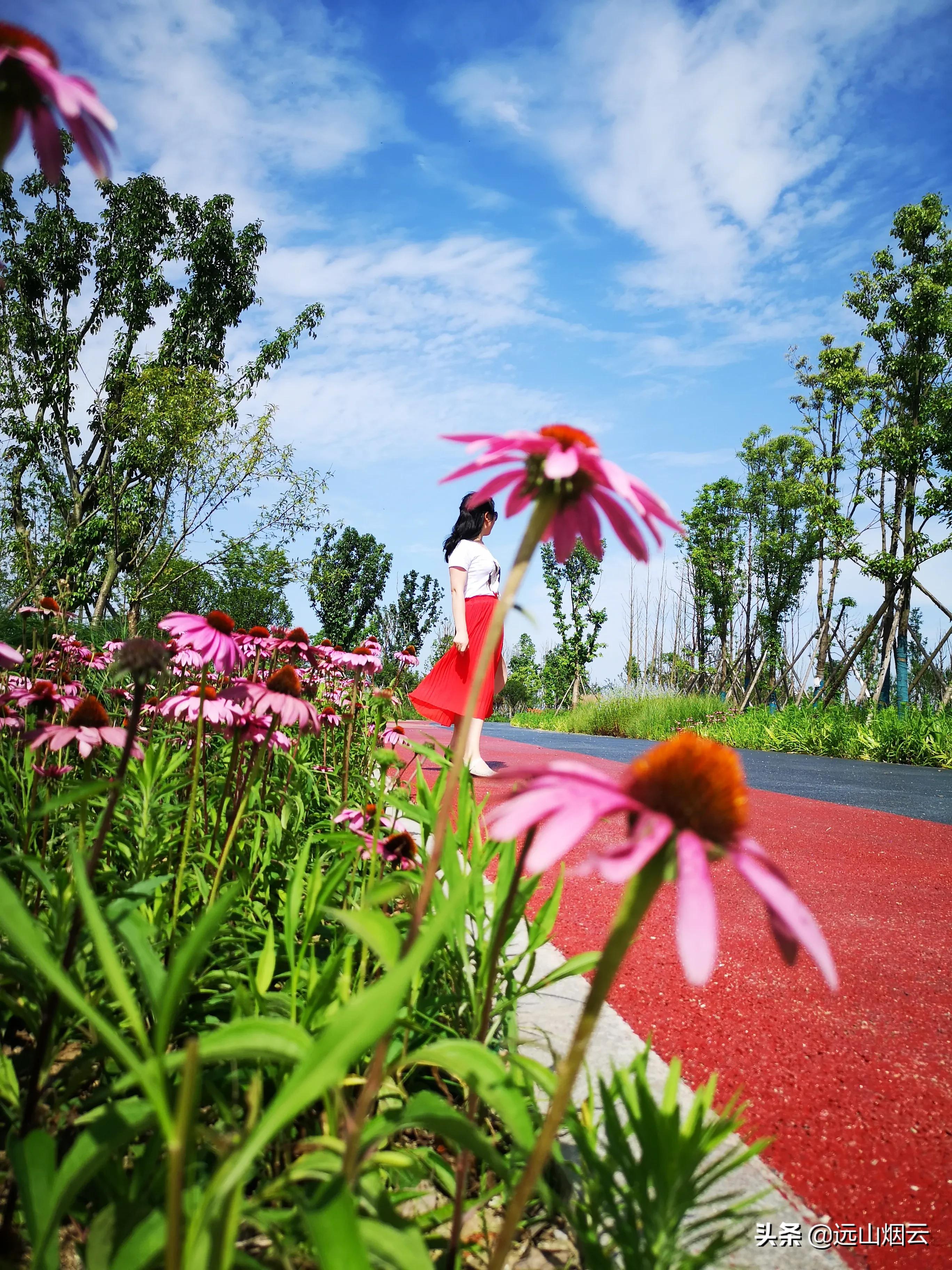 手拿自拍杆一杆在手不求人,自拍杆教程全过程